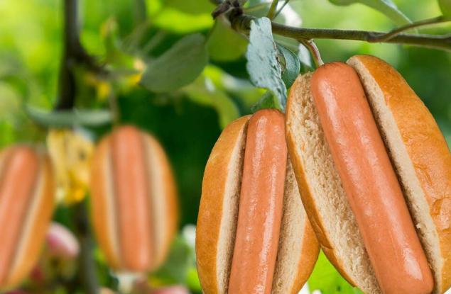 40% от американските деца си мислят, че хотдогът и беконът са растения