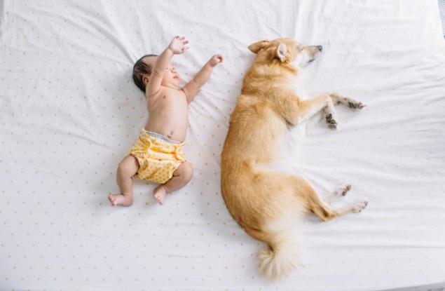 Когато заспиването е трудно, а сънят неспокоен