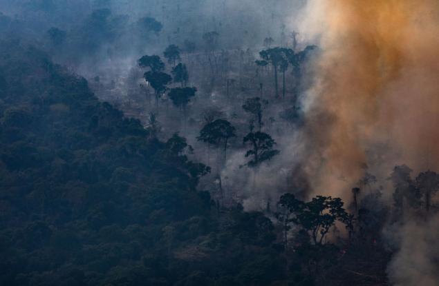 Големи части от амазонските гори вероятно никога няма да се възстановят