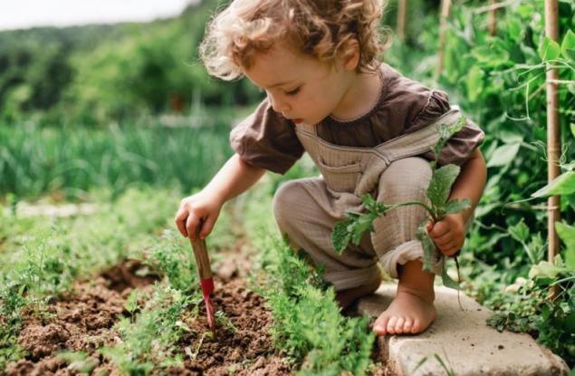 Тревожни сигнали за изоставане в развитието на 2-годишно дете