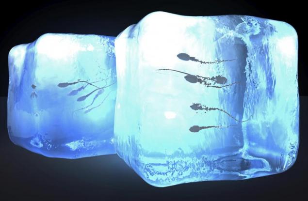 Кой трябва да замрази сперма