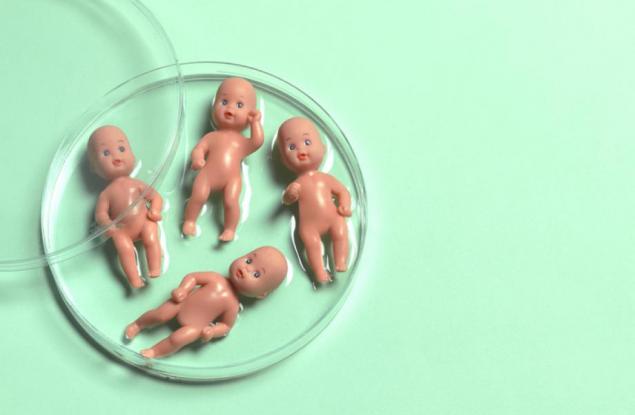 5 неща за инвитро, които жената трябва да знае преди процедурата 