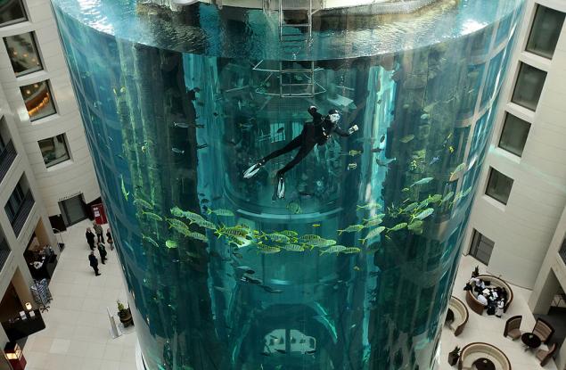 Най-големият аквариум в Берлин се спука и изсипа 1 млн. литра вода и 1500 риби