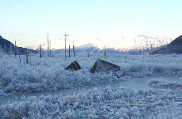 През 1964 г. „Призрачната гора“ на Аляска се ражда от най-мощното земетресение в историята на САЩ