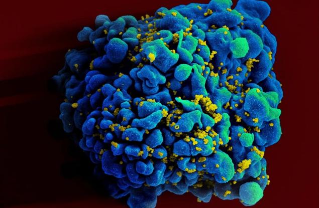 Изглежда, че 6-и човек вече е излекуван от ХИВ