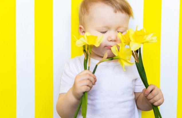 5 сигнала, че отглеждате нарцис