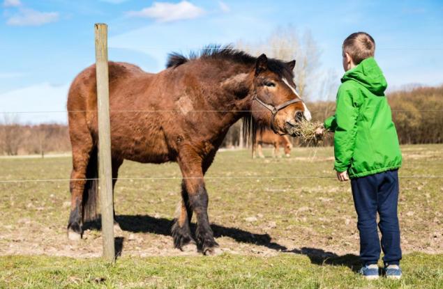 Ирландско училище замества домашните с добри дела 