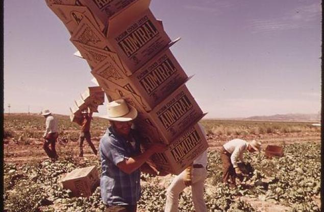 Горещините убиват предимно младите, а не старите