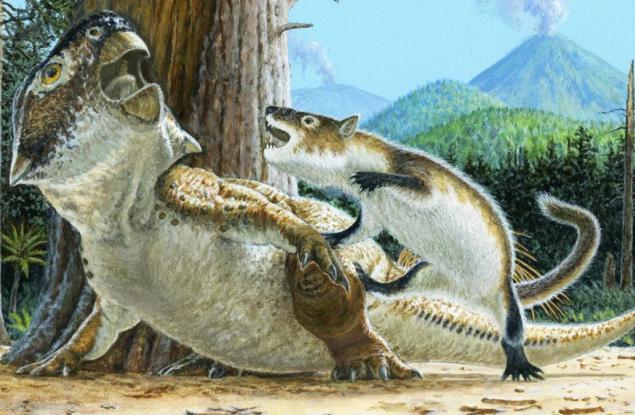 Вкаменелост показва, че понякога бозайниците са ловували динозаври