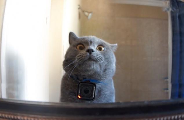 Мъж закачи камера на котката си и откри удивителни неща за живота на домашния си любимец
