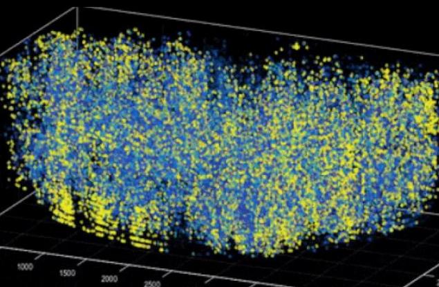 За първи път учени наблюдават 1 млн. неврона в мозъка на мишка едновременно