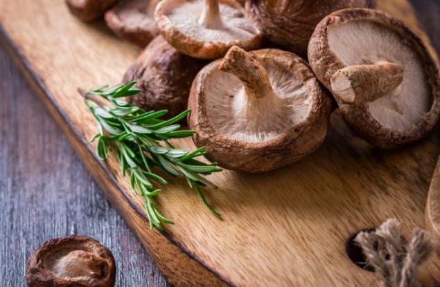 Гъбите шийтаке, рейши и чага и техните изключителни ползи за здравето