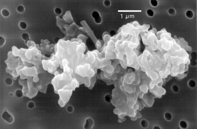 Проучване показва, че животът се разпространява в Космоса чрез малки невидими частици