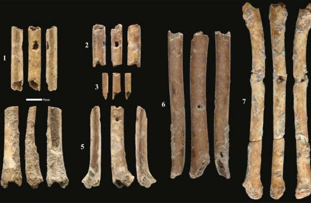 Флейти на близо 12 000 години, изработени от кости, звучат досущ като хищни птици