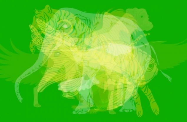 Първото животно, което видите, разкрива вашия характер