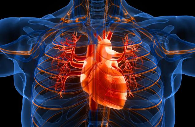 3 лесни промени в ежедневието ни може да намалят риска от инфаркт и инсулт