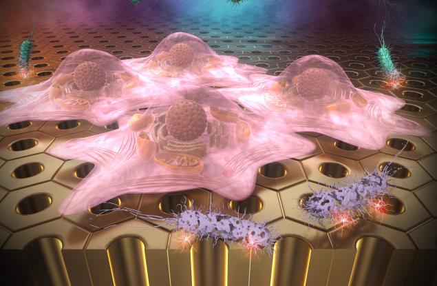 Създадоха повърхности, враждебни към бактериите, но благоприятни за клетките 