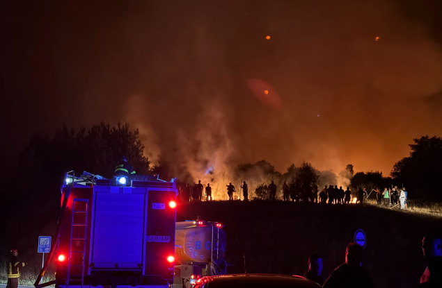 Българската гора в пламъци: кога ще се научим да се пазим от огъня?