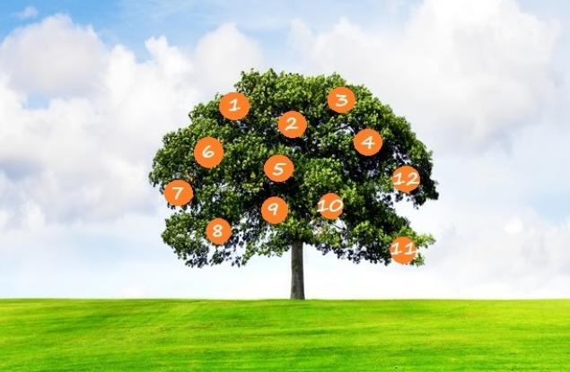 Тест: Вижте какво ви чака в бъдеще според дървото на желанията