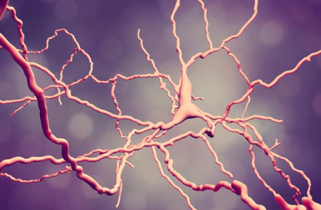 Откриха кои точно неврони умират при болестта на Паркинсон