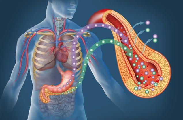 Инсулинова резистентност – складиране на мазнини около органите и подкожни мазнини