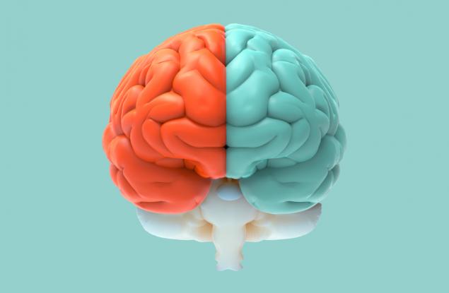 Тест: От какъв пол е мозъкът ви?