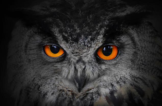 Царят на нощта