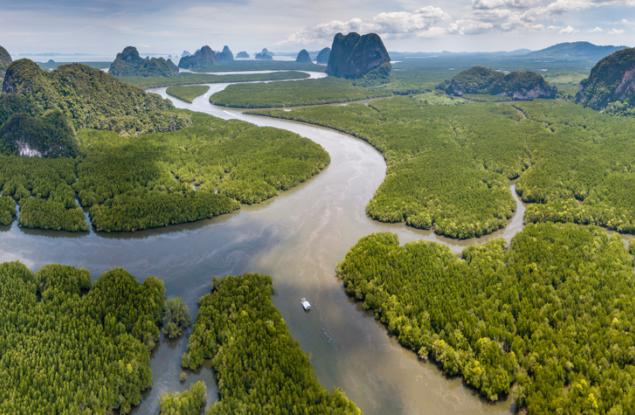 Синият въглерод и климатичните промени