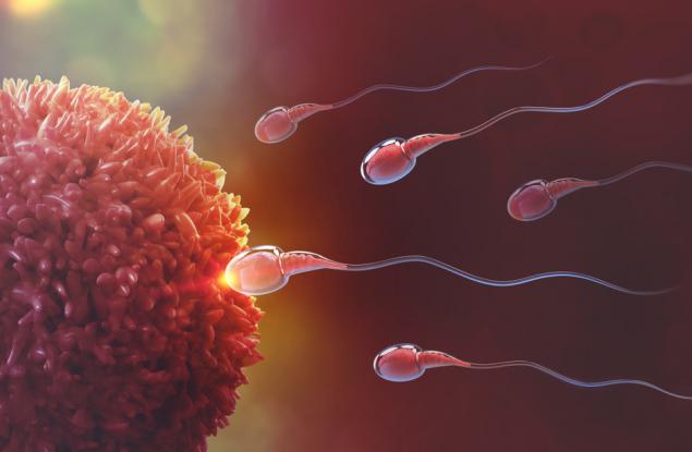 Мислехме си, че знаем как плуват сперматозоидите. Всичко обаче е било оптична илюзия
