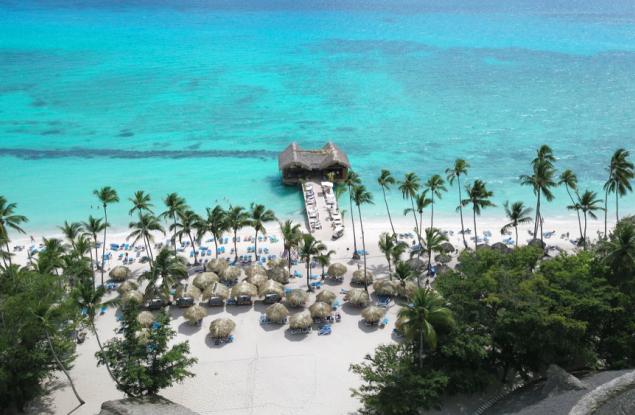 Изследователи откриха рядък вид палма, която цъфти под земята