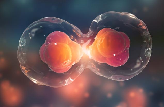 Танцът на живота: Софийски фестивал на науката 2021