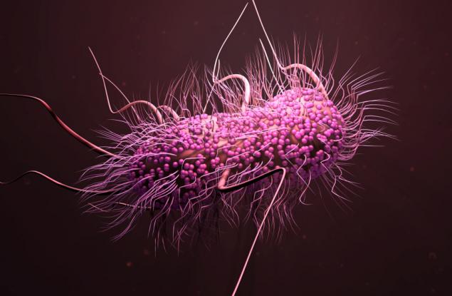 Магнитни бактерии могат да бъдат използвани в борбата с ракови образувания