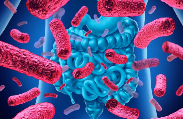 Учени за първи път анализират полезни чревни бактерии, които се хранят със захари