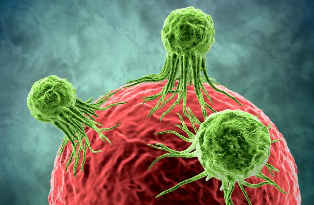 Лекари ще откриват рак с помощта на кръгли червеи?