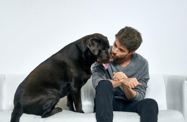 Луди ли? Според науката хората, които разговарят с кучетата си, дори са особено интелигентни