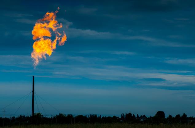 COP26: Световните лидери се разбраха за обезлесяването и метана