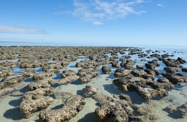 Слоести скали в Западна Австралия съдържат едни от най-старите признаци за живот на Земята