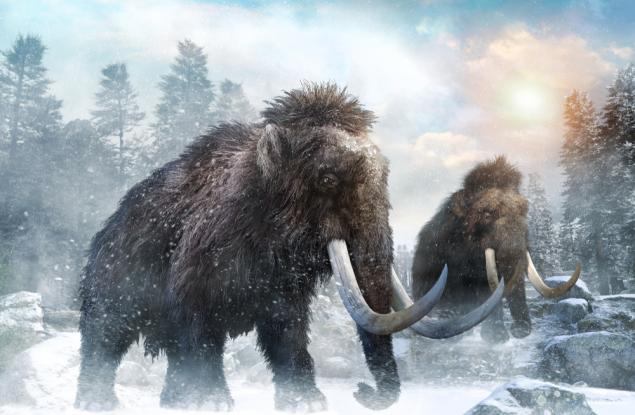 Археолози откриха мистериозни кръгове от кости на мамути в Русия