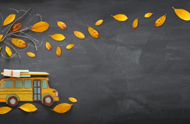 Лексикология: пароними