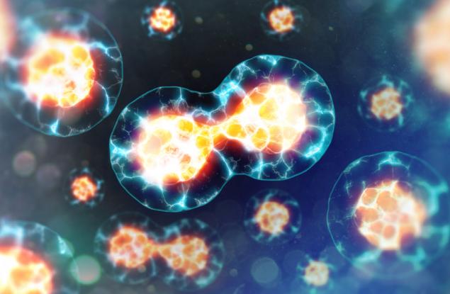 Клетка срещу вирус: Битка за здраве