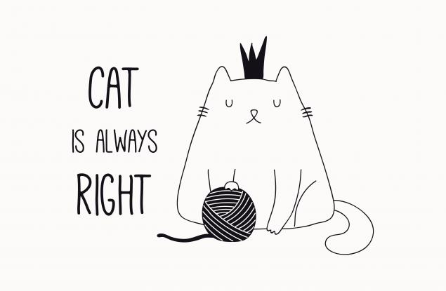 С тези зодии няма смисъл да спорите