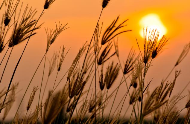 Август 2022 г. – най-топлият в Европа