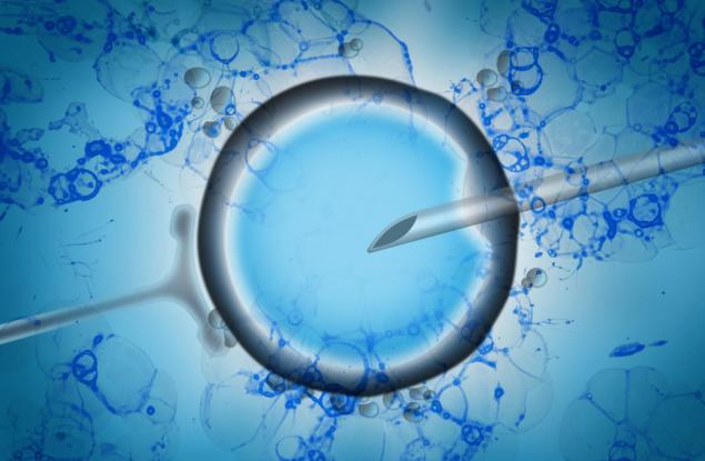 Ембриоидите: първи стъпки към регулирането на една научна революция
