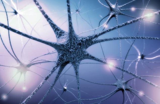 Учени за първи път направиха подробна карта на клетките в човешкия мозък