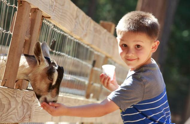 4 идеи за пролетната ваканция