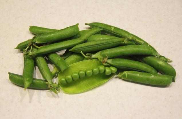 Грахът - растение от приказките