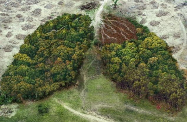 WWF: България навлезе в екологичен дълг
