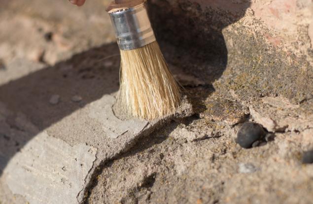 Откриха останки от летящи влечуги, живели в Сахара преди 100 млн. години