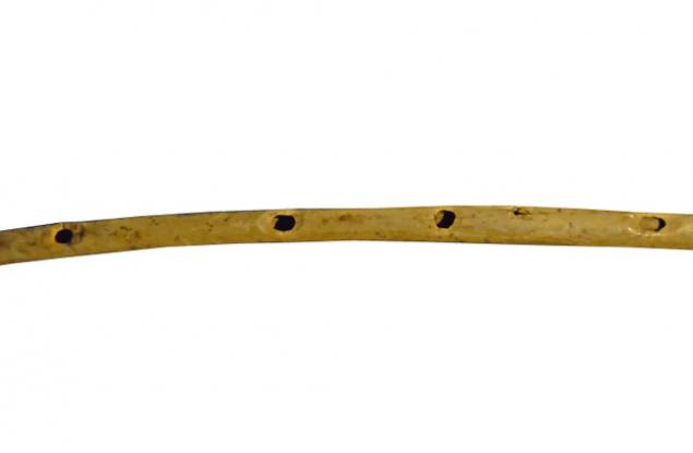 Чуйте как звучи една 9000-годишна флейта, изработена от кост