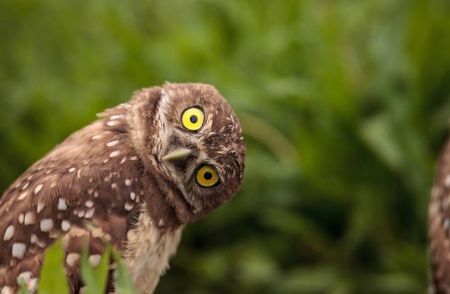 10-те любопитни факта, които ще ви учудят